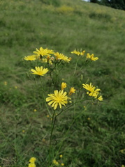 2023-06-20T10 14 28+02 00