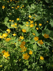 2023-06-25T14 36 39+02 00