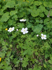 2023-06-25T14 38 05+02 00