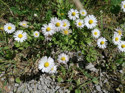 2023-06-25T15 01 18+02 00