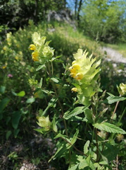 2023-06-25T15 04 59+02 00