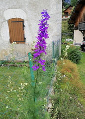 2023-07-01T16 00 33+02 00