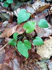 2023-07-02T14 43 11+02 00