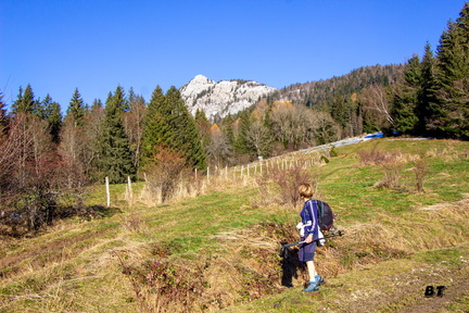 IMG 6087