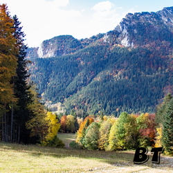 Couleurs d'automne 2024