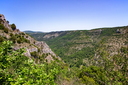 Causse de Campestre
